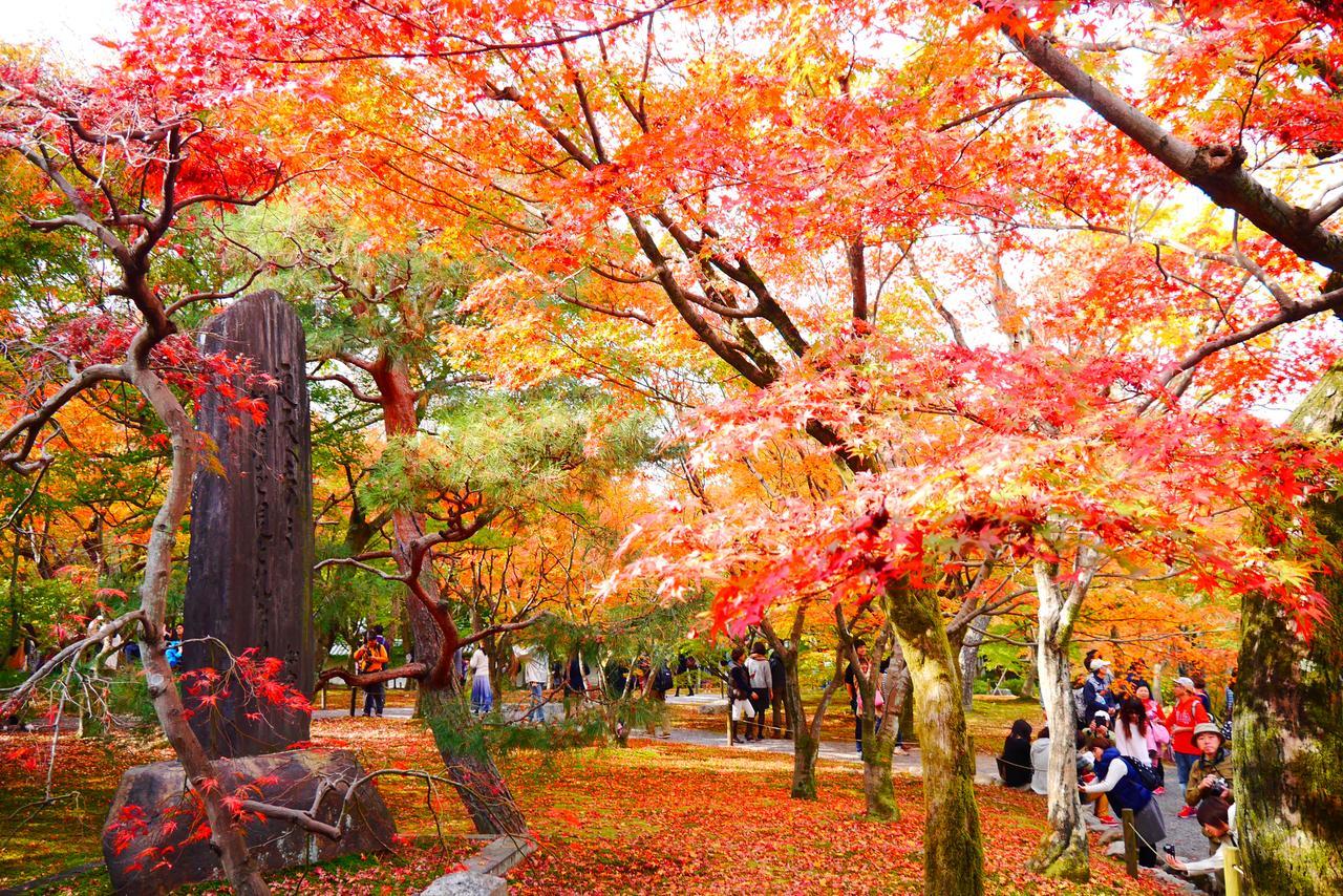 Japaning Hotel Libre Tofukuji Кіото Екстер'єр фото